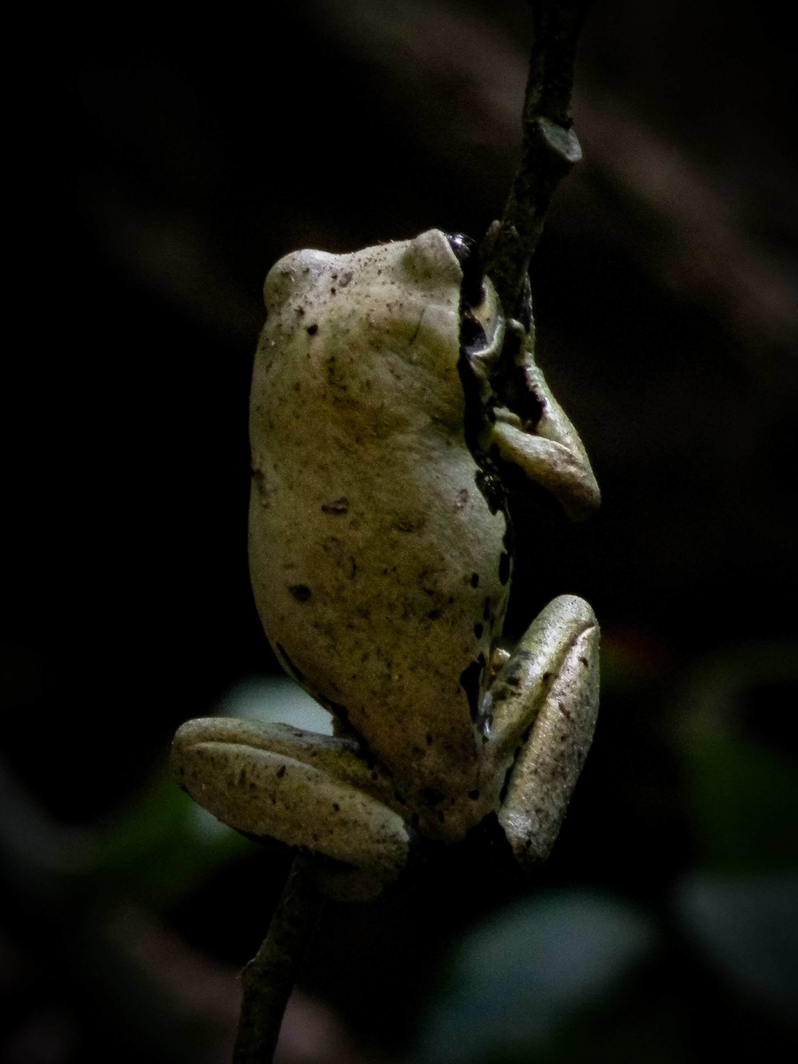 Flavio Juárez fotógrafo de naturaleza