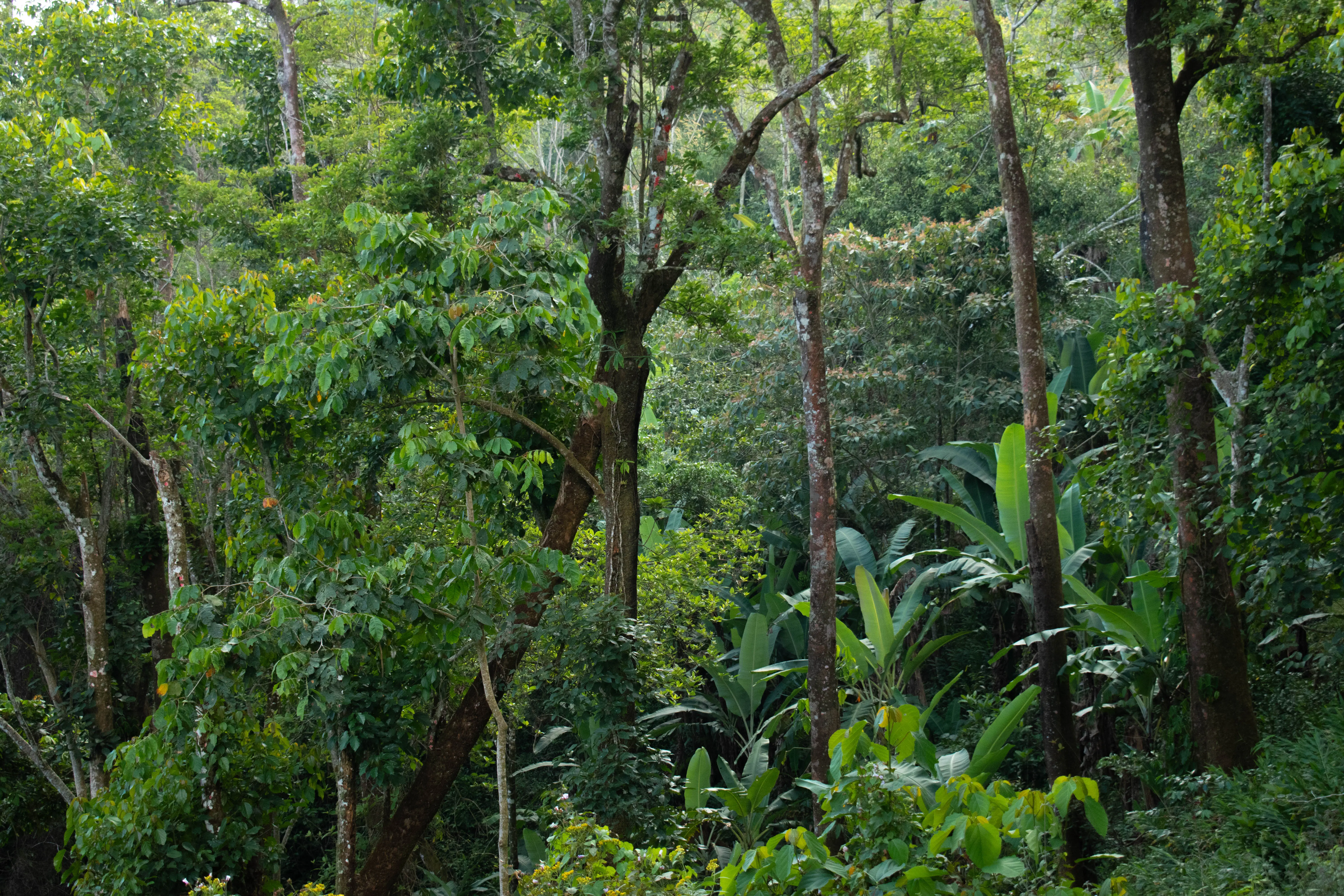 Paisaje natural de Oaxaca